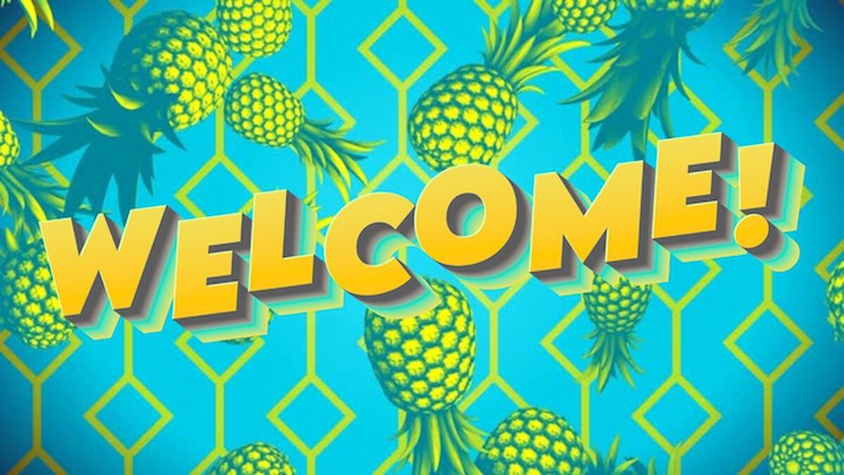 Summer Vibes Transition Videos 8-Pack image number null